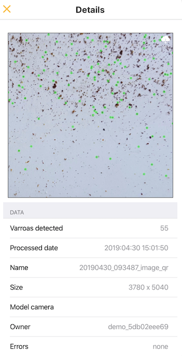 Varroas detection